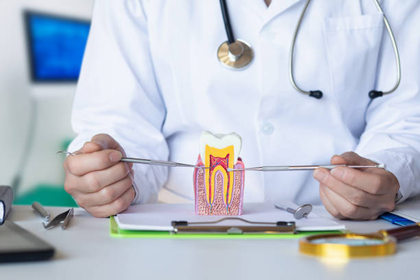 Best Emergency Gum Treatment in Stockton, IL